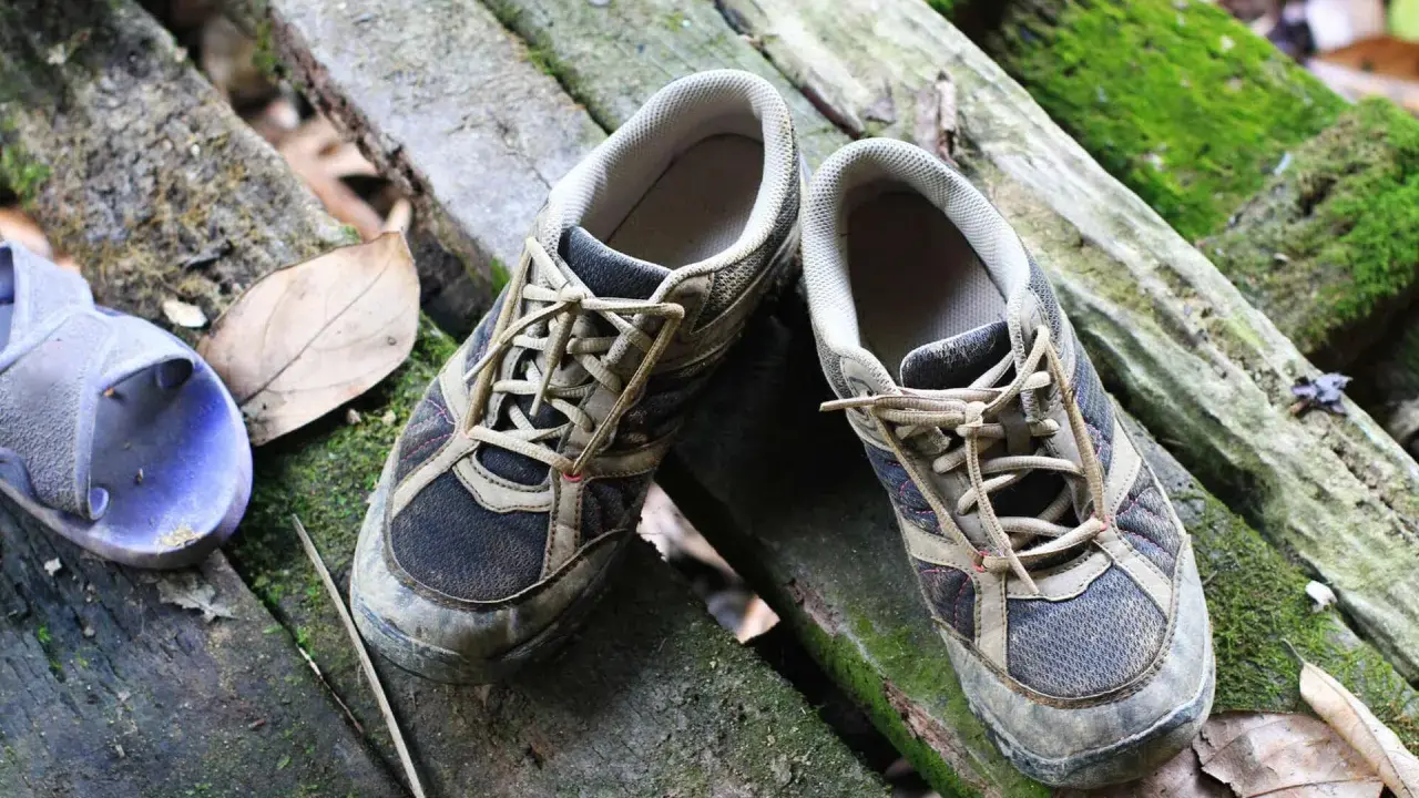 Schuhe stinken was tun? Diese schmutzigen Wanderschuhe liegen auf moosbewachsenen Baumstämmen.