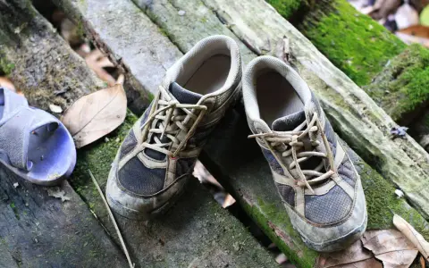 Schuhe stinken was tun? Diese schmutzigen Wanderschuhe liegen auf moosbewachsenen Baumstämmen.