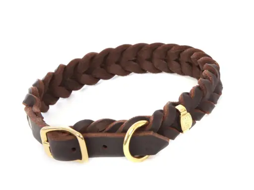 Braunes, geflochtenes Halsband aus Fettleder mit goldener Schnalle. Robust und stilvoll für deinen Hund.