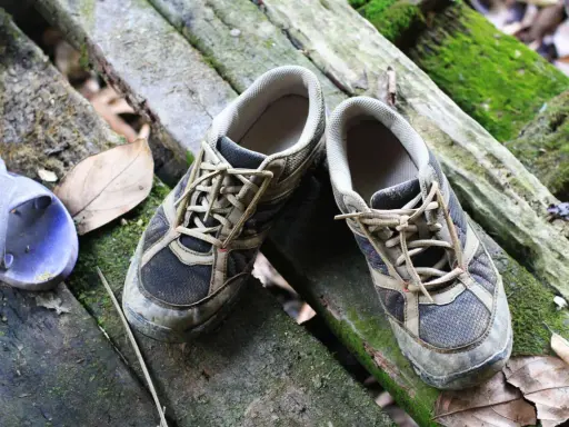 Schuhe stinken was tun? Diese schmutzigen Wanderschuhe liegen auf moosbewachsenen Baumstämmen.
