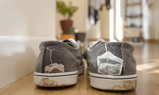 Graue Sneaker mit Teebeuteln, die aus den Fersen ragen. Ein ungewöhnlicher Trick, um Gerüche zu bekämpfen.