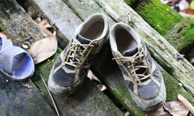 Schuhe stinken was tun? Diese schmutzigen Wanderschuhe liegen auf moosbewachsenen Baumstämmen.