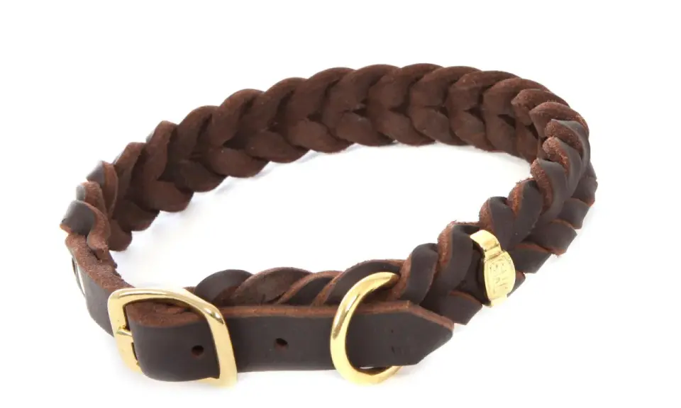 Braunes, geflochtenes Halsband aus Fettleder mit goldener Schnalle. Robust und stilvoll für deinen Hund.